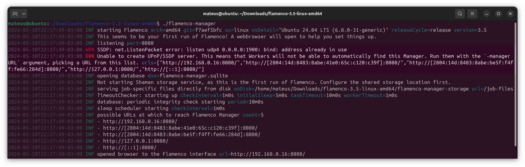 Screenshot of Flamenco Manager&rsquo;s log output on the terminal